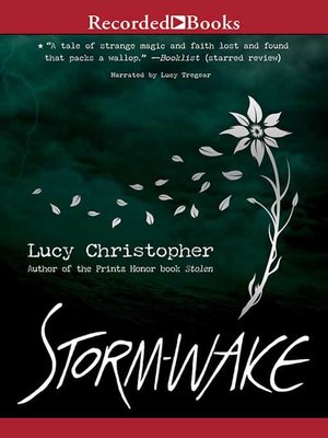 cover image of Storm Wake